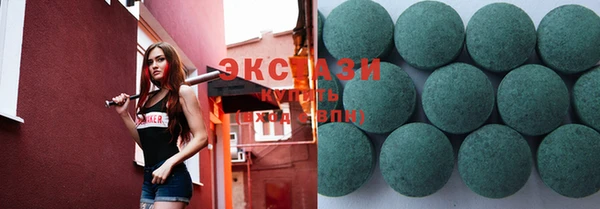 ECSTASY Богородицк