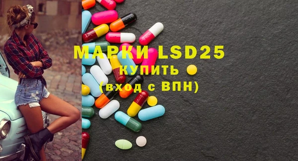 ECSTASY Богородицк