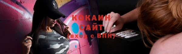 ECSTASY Богородицк