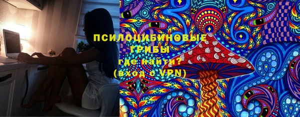 ECSTASY Богородицк