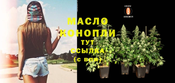 ECSTASY Богородицк