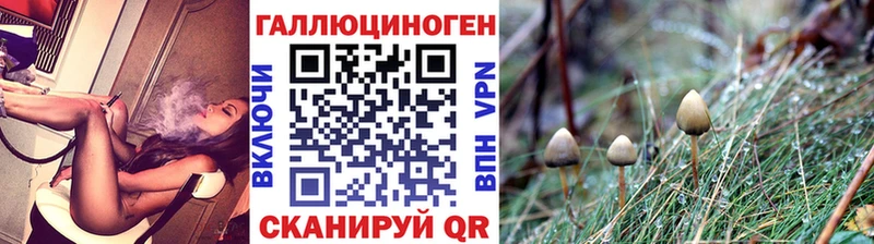 Псилоцибиновые грибы Psilocybe  Неман 
